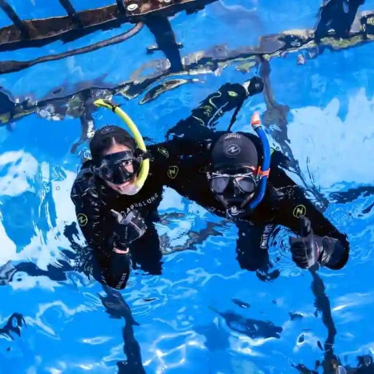 Dubai Aquarium & Underwater Zoo Cage Snorkelling Water Sports