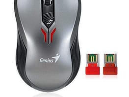 Genius D6600 Dual Receiver Wireless Mouse [Silver Black]