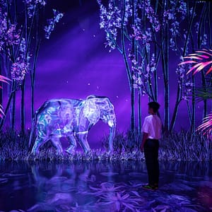 Buy ARTE Museum + House Of Hype – Combo – Combos and more adventures Now at Special Price in UAEMegaDeals.com ARTE Museum + House Of Hype - Combo Combos and more adventures