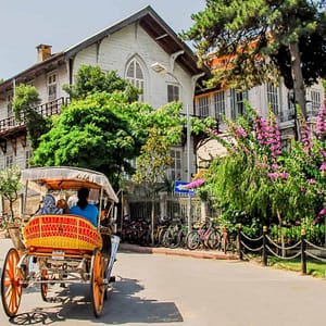 Buy Daily Princes’ Islands Tour: Full-Day Trip in Istanbul – Sightseeing and Tours Now at Special Price in UAEMegaDeals.com Daily Princes' Islands Tour: Full-Day Trip in Istanbul Sightseeing and Tours