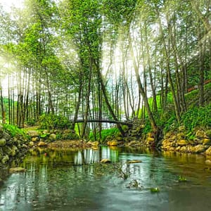 Buy Daily Sapanca and Masukiye Tour: Full-Day Trip From Istanbul – Sightseeing and Tours Now at Special Price in UAEMegaDeals.com Daily Sapanca and Masukiye Tour: Full-Day Trip From Istanbul Sightseeing and Tours