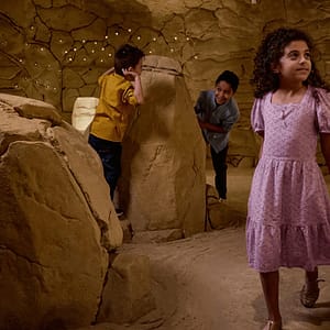 Buy Discover the National Museum of Qatar – Must-see attractions Now at Special Price in UAEMegaDeals.com Discover the National Museum of Qatar Must-see attractions