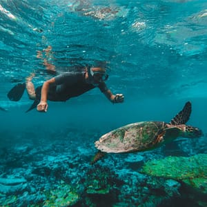 Buy Dive & Snorkel Trips in Fujairah – Water Sports Now at Special Price in UAEMegaDeals.com Dive & Snorkel Trips in Fujairah Water Sports
