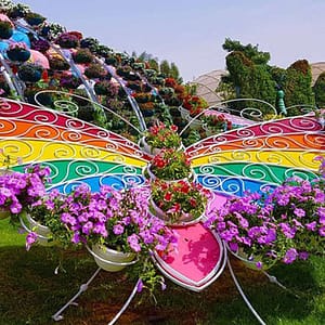 Buy Dubai Butterfly Garden: Skip The Line at Dubai Butterfly Garden, Dubai, United Arab Emirates Now at Special Price in UAEMegaDeals.com Dubai Butterfly Garden: Skip The Line at Dubai Butterfly Garden