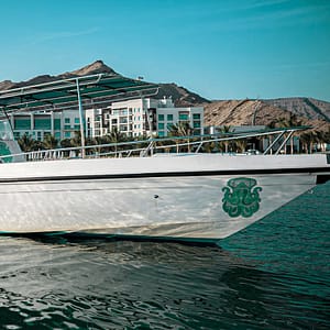 Buy Exclusive Boating Experience – Dolphins Watching – Sightseeing and Tours Now at Special Price in UAEMegaDeals.com Exclusive Boating Experience - Dolphins Watching Sightseeing and Tours