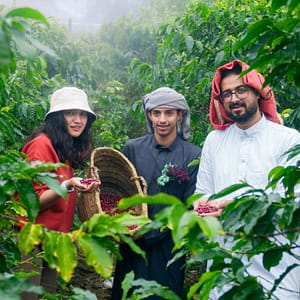 Buy From Arabica to Arabian – Coffee Experience at a local farm – Recently Added Experiences Now at Special Price in UAEMegaDeals.com From Arabica to Arabian – Coffee Experience at a local farm Recently Added Experiences