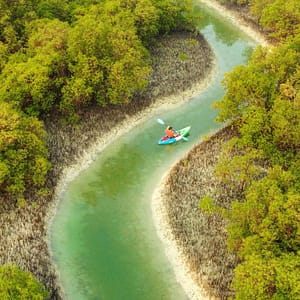 Buy Guided Kayak Tour in the Reem Central Park Mangroves – Water Sports Now at Special Price in UAEMegaDeals.com Guided Kayak Tour in the Reem Central Park Mangroves Water Sports