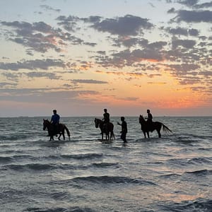 Buy Horse Riding in Jeddah – Experiences Now at Special Price in UAEMegaDeals.com Horse Riding in Jeddah Experiences