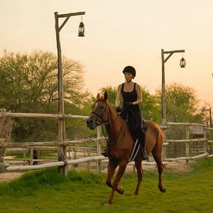 Buy Horse Riding with Open Buffet Dinner & Shows – Desert safaris Now at Special Price in UAEMegaDeals.com Horse Riding with Open Buffet Dinner & Shows Desert safaris