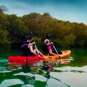 Buy Mangroves Kayaking at Purple Island – Qool Qatar – Must-see attractions Now at Special Price in UAEMegaDeals.com Mangroves Kayaking at Purple Island - Qool Qatar Must-see attractions