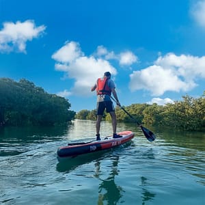 Buy Mangroves paddleboarding at Purple Island – Qool Qatar – Must-see attractions Now at Special Price in UAEMegaDeals.com Mangroves paddleboarding at Purple Island - Qool Qatar Must-see attractions