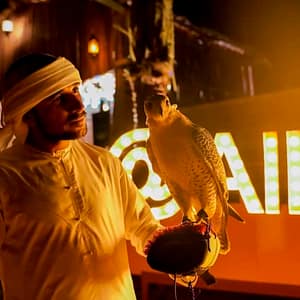 Buy Premium Desert Safari: Camel Ride, Falconry, and BBQ Dinner at Dubai Mall, Dubai, United Arab Emirates Now at Special Price in UAEMegaDeals.com Premium Desert Safari: Camel Ride