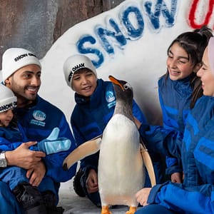Buy Snow Oman – Top-Rated Attractions Now at Special Price in UAEMegaDeals.com Snow Oman Top-Rated Attractions