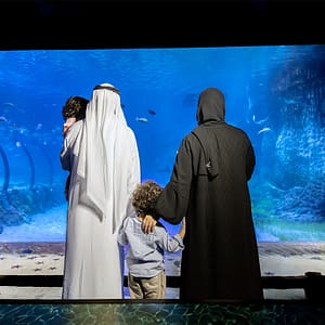 Buy The National Aquarium Abu Dhabi – Experiences Now at Special Price in UAEMegaDeals.com The National Aquarium Abu Dhabi Experiences