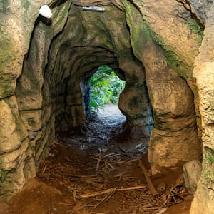 Buy Tropical Land – Top-Rated Attractions Now at Special Price in UAEMegaDeals.com Tropical Land Top-Rated Attractions