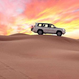 Buy Safari Park Now at Special Price in UAEMegaDeals.com Safari Park Dubai Executive Tours Dubai UAE