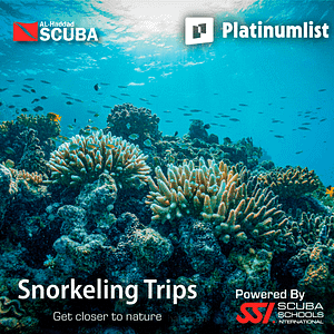 Buy Snorkeling Daily Trips in Jeddah – Attractions Special Offers Now at Special Price in UAEMegaDeals.com Snorkeling Daily Trips in Jeddah Attractions Special Offers