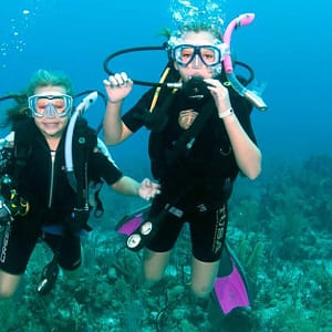 Buy Vip Scuba Diving Tour Now at Special Price in UAEMegaDeals.com Vip Scuba Diving Tour Bermuda Diving Center Dubai UAE