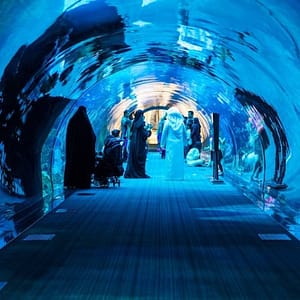 Buy Dubai Aquarium & Underwater Zoo: All-Access Pass at Dubai Aquarium & Underwater Zoo, Dubai, United Arab Emirates Now at Special Price in UAEMegaDeals.com Dubai Aquarium & Underwater Zoo: All-Access Pass at Dubai Aquarium & Underwater Zoo