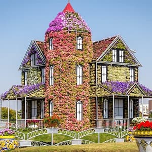 Buy Dubai Miracle Garden at Dubai Miracle Garden, Dubai, United Arab Emirates Now at Special Price in UAEMegaDeals.com Dubai Miracle Garden at Dubai Miracle Garden