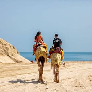 Buy Al Majles Resort Day Pass at Al Majles Resort, Doha, Qatar Now at Special Price in UAEMegaDeals.com Al Majles Resort Day Pass at Al Majles Resort