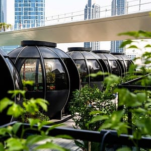 Buy Exclusive 2 Course Festive Lunch – The Pods – Sightseeing and Tours Now at Special Price in UAEMegaDeals.com Exclusive 2 Course Festive Lunch - The Pods Sightseeing and Tours