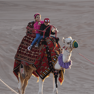 Buy Sand storm Trip – Top-Rated Attractions Now at Special Price in UAEMegaDeals.com Sand storm Trip Top-Rated Attractions