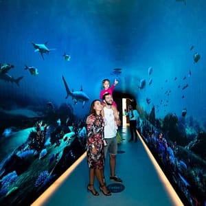 Buy The View at The Palm: The View (Level 52) at The View at the Palm, Dubai, United Arab Emirates Now at Special Price in UAEMegaDeals.com The View at The Palm: The View (Level 52) at The View at the Palm