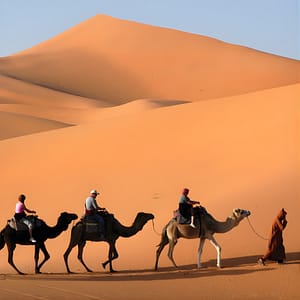 Buy Camel Caravan at Kasbah Le Mirage & Spa – Sightseeing and Tours Now at Special Price in UAEMegaDeals.com Camel Caravan at Kasbah Le Mirage & Spa Sightseeing and Tours