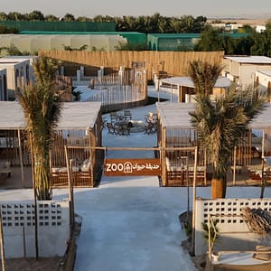 Buy Dirwazh – Festivals Now at Special Price in UAEMegaDeals.com Dirwazh Festivals