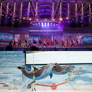 Buy Dolphin & Seal Show + Global Village – Combo – Recently Added Experiences Now at Special Price in UAEMegaDeals.com Dolphin & Seal Show + Global Village - Combo Recently Added Experiences
