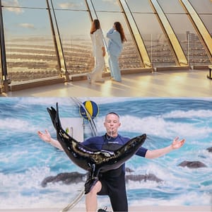 Buy Dolphin & Seal Show + The View at The Palm Non Prime – Combo – Recently Added Experiences Now at Special Price in UAEMegaDeals.com Dolphin & Seal Show + The View at The Palm Non Prime - Combo Recently Added Experiences