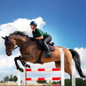 Buy Equestrian Horse Ride at Al Forsan – Recently Added Experiences Now at Special Price in UAEMegaDeals.com Equestrian Horse Ride at Al Forsan Recently Added Experiences