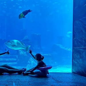 Buy Lost World Aquarium – Entry Tickets For Kids, Adults & Families Now at Special Price in UAEMegaDeals.com Lost World Aquarium – Entry Tickets For Kids