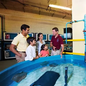 Buy Lost World General Admission + Interactive Trident + Behind the scenes tour – Top-Rated Attractions Now at Special Price in UAEMegaDeals.com Lost World General Admission + Interactive Trident + Behind the scenes tour Top-Rated Attractions