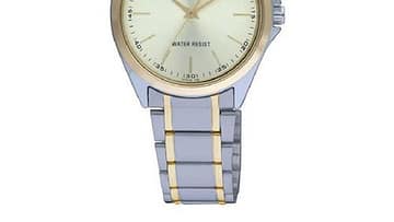 QQ Mens Two-tone Dress Watch [Q118-400Y]