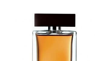 DolceGabanna DG The One For Men 100ml Tester
